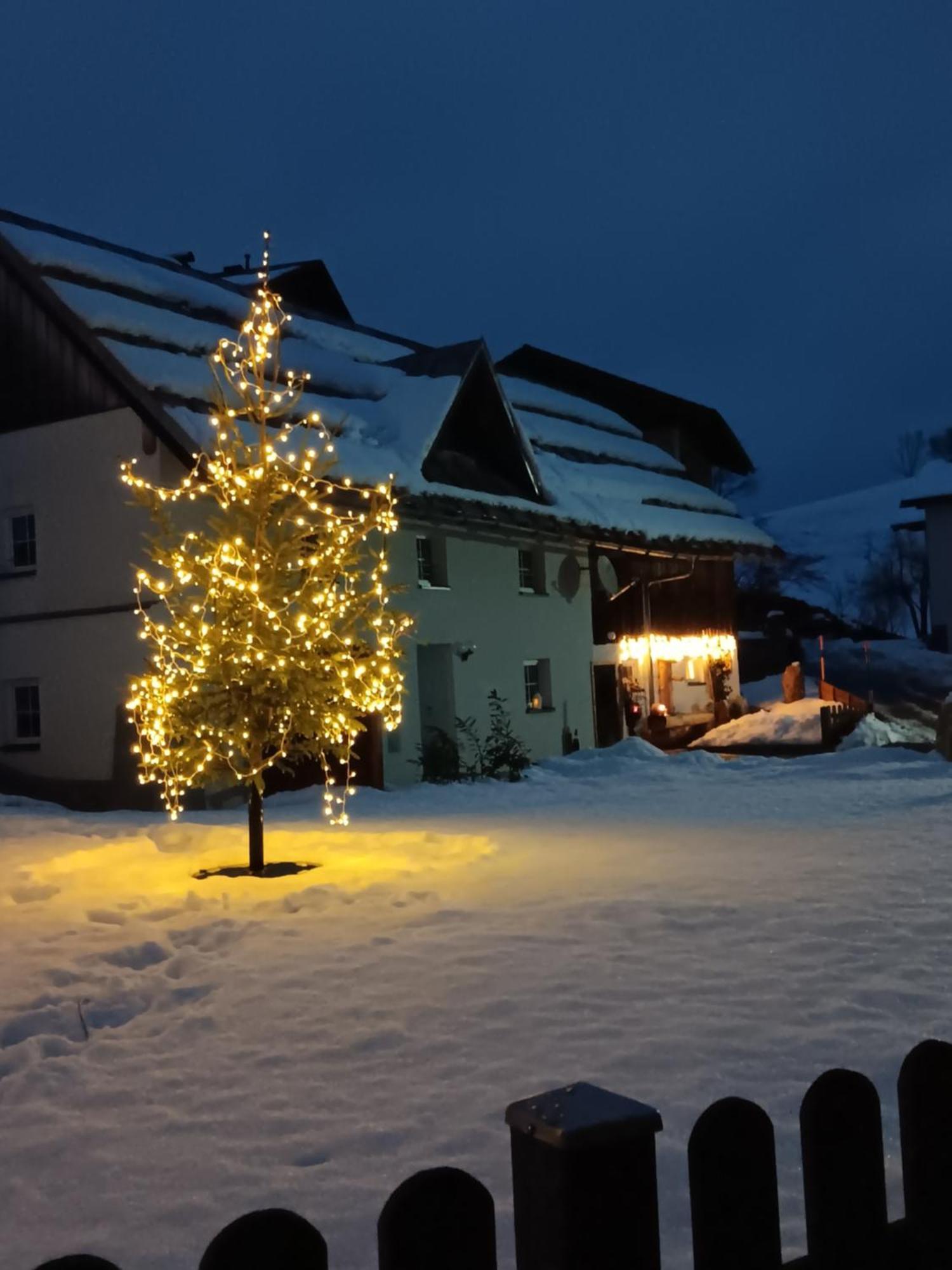 Ferienhaus Krallinger Abtenau Buitenkant foto